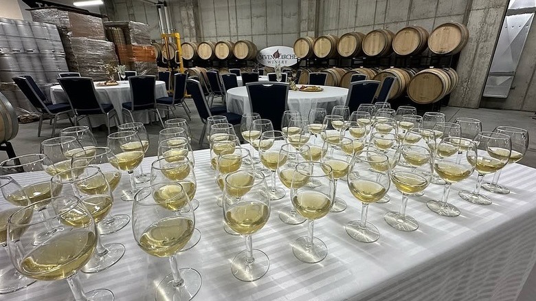 White wine glasses spread across a table with tasting tables behind it, in the barrel room at Seven Birches Winery