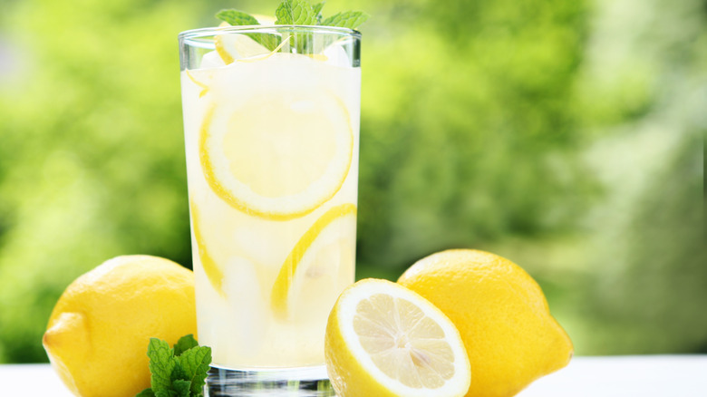Cup of lemonade with slices of lemons and mint leaves in the cup