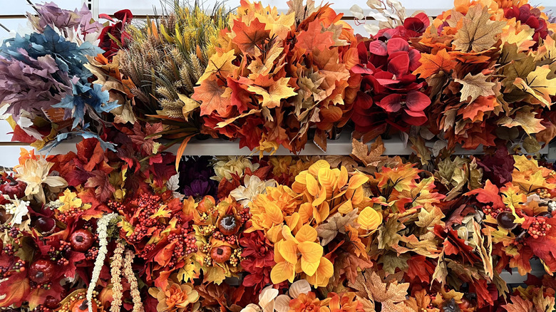Array of fall folliage