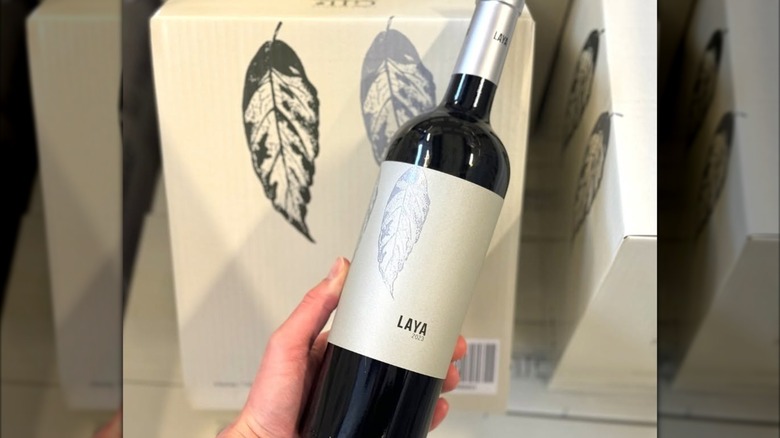 bottle of red wine