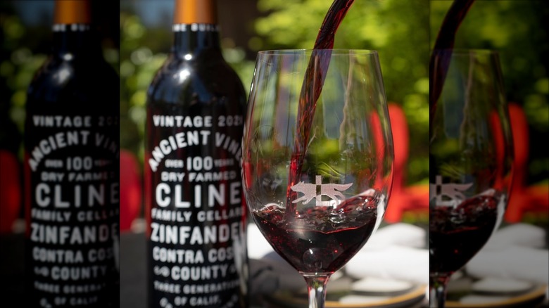 closeup bottle and glass of red wine