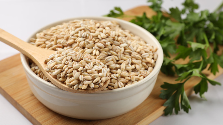 A white bowl full of dry pearl barley with a spoon on it sitting on a wooden cutting board with some parsley