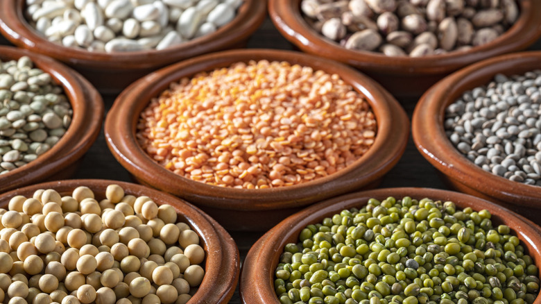 Various bowls of lentils, beans, and legumes