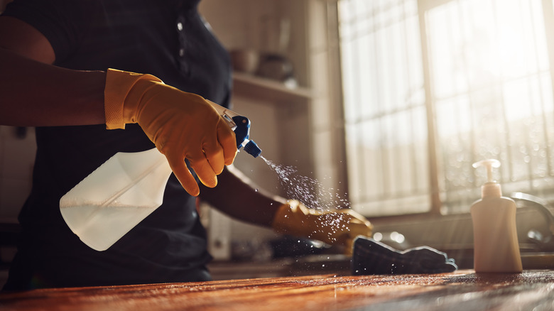 Person spraying kitchen countertop