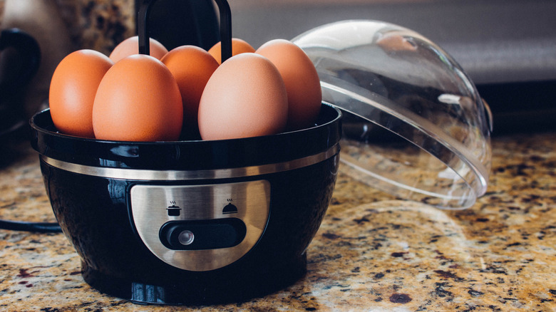 egg cooker on kitchen counter
