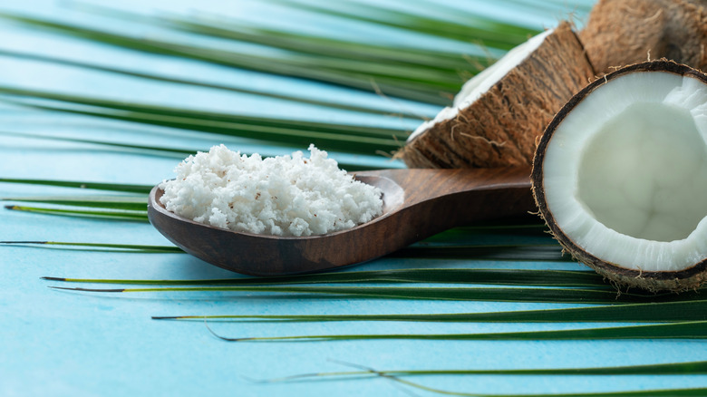 Shredded coconut on a wooden spoon, surrounded by halved coconuts, on top of a palm leaf with a blue background.