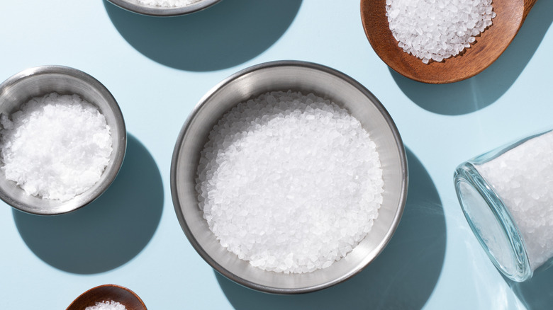 Different styles of salt in various kitchenware