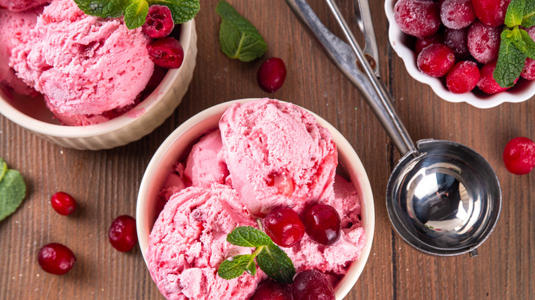 Cup of homemade cranberry ice cream