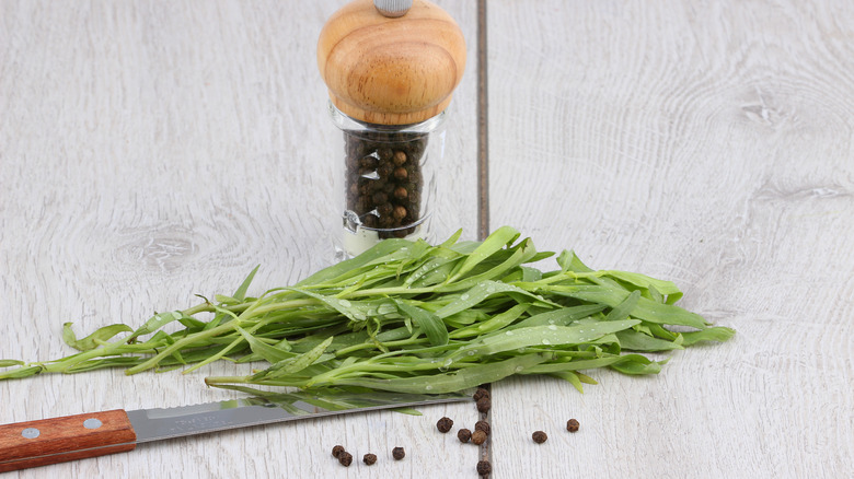 Chopping fresh tarragon with knife and whole pepper