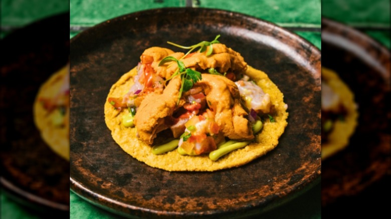 Kanpanchi and uni tostada on brown plate