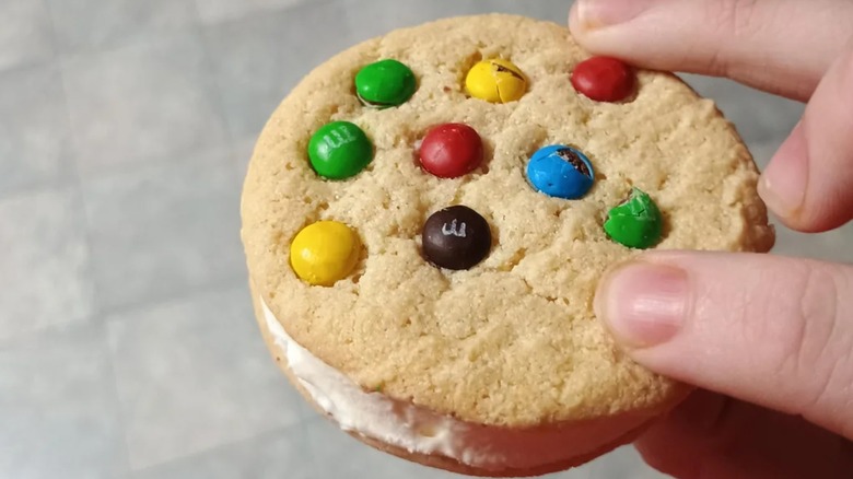 A hand holds an M&M Ice Cream Sandwich.