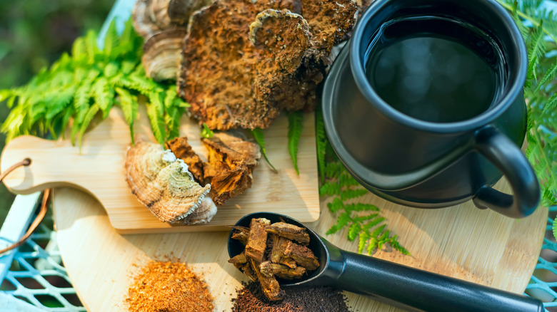 Mushroom powders surrounding a cup of coffee