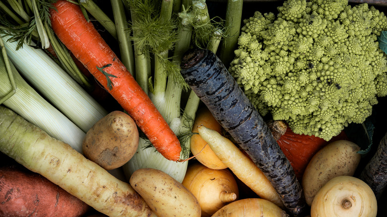 a selection of mixed vegetables, including different colors of carrots, potatoes, sweet potatoes, fennel, and "fractal" broccoli