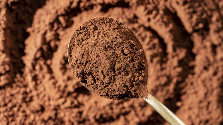Spoonful of cacao powder held over pile of cacao powder