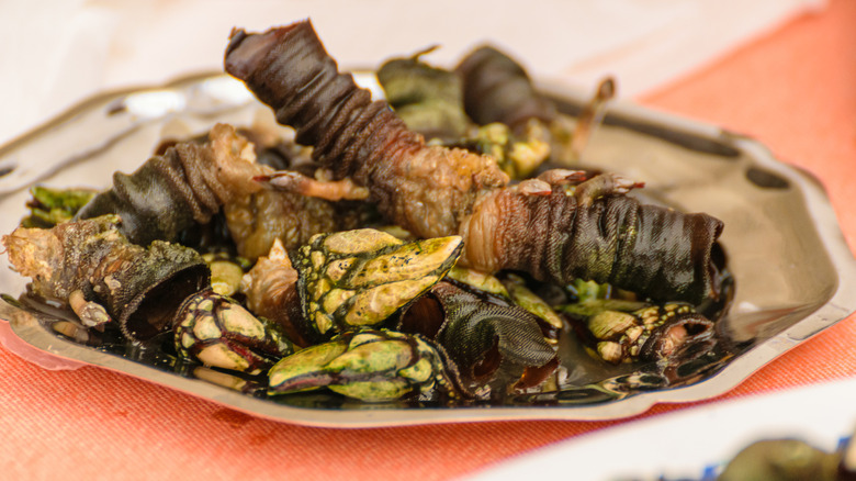 Silver Plate of fresh goose barnacles or percebes on tablecloth
