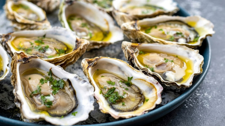 Oysters with herbs and olive oil on dark blue plate