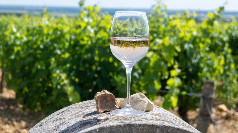 glass of wine on barrel in front of green vineyard