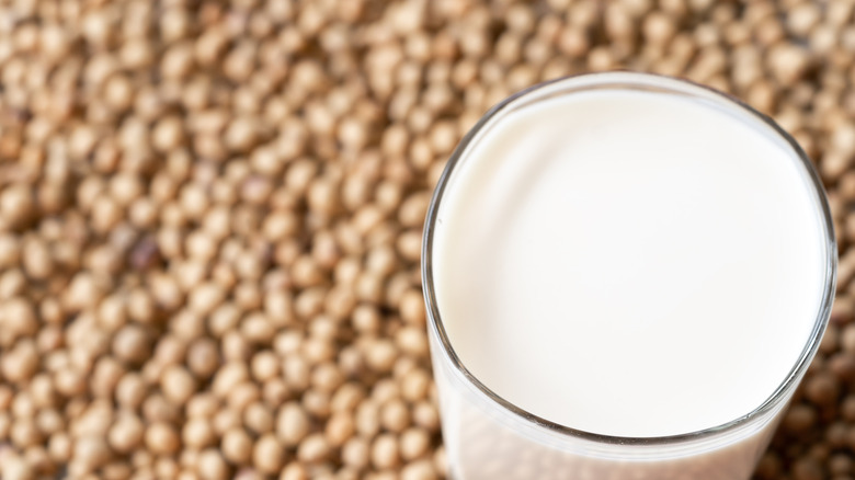 Glass of soy milk with a blurred view of soybeans in the background