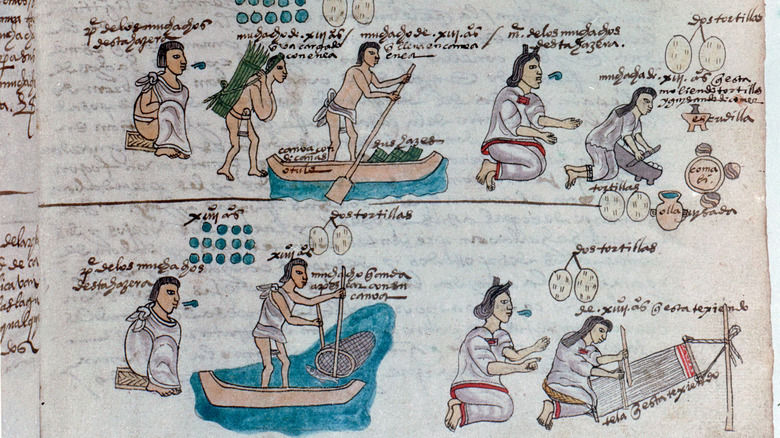 aztec food preparation from the Florentine Codex