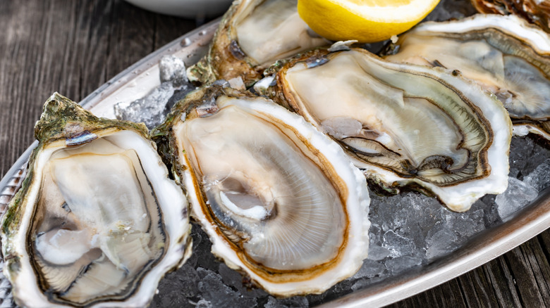Close up of oysters on a platter