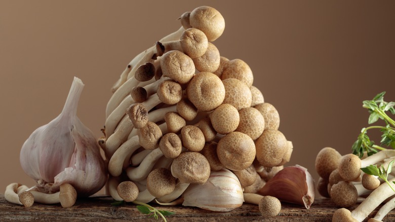 Mushrooms and garlic together on a wooden table