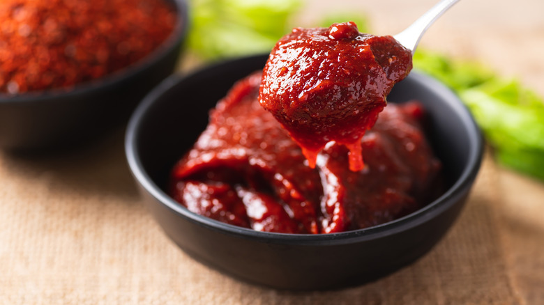 A spoonful of gochujang paste