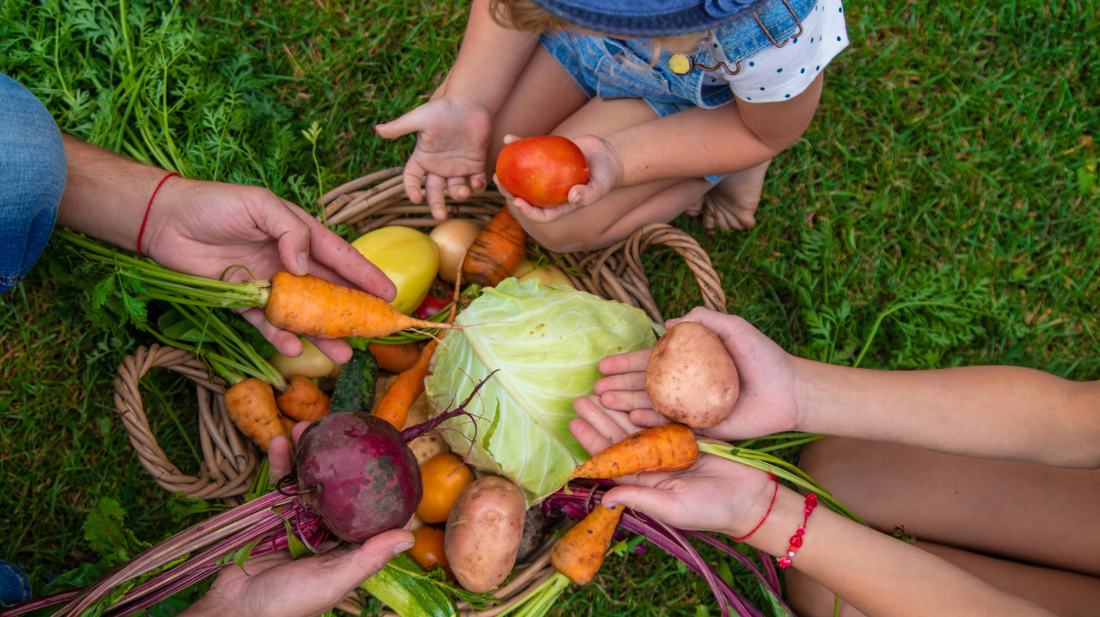 15 Fruit And Vegetable Seeds You Should Buy At Walmart - Tasting Table