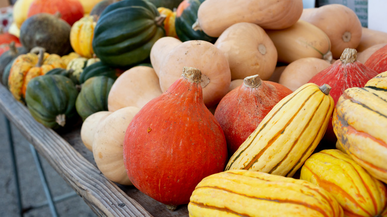 Table full of various fresh winter squash
