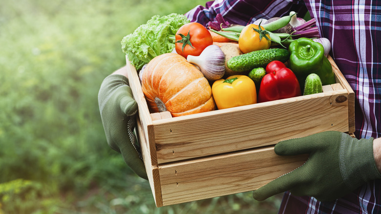 A person carrying a box of fruits and vegetables through a field