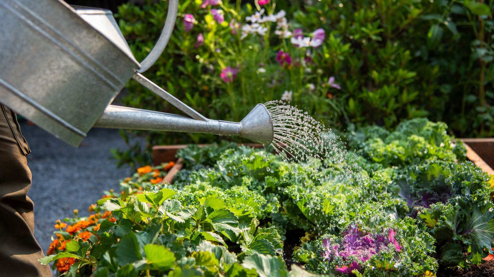 15 Fruits, Vegetables, And Herbs You Can Still Plant In September And October