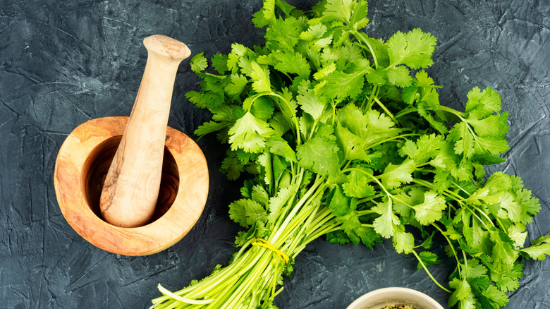 A bunch of fresh cilantro next to a mortar and pestle