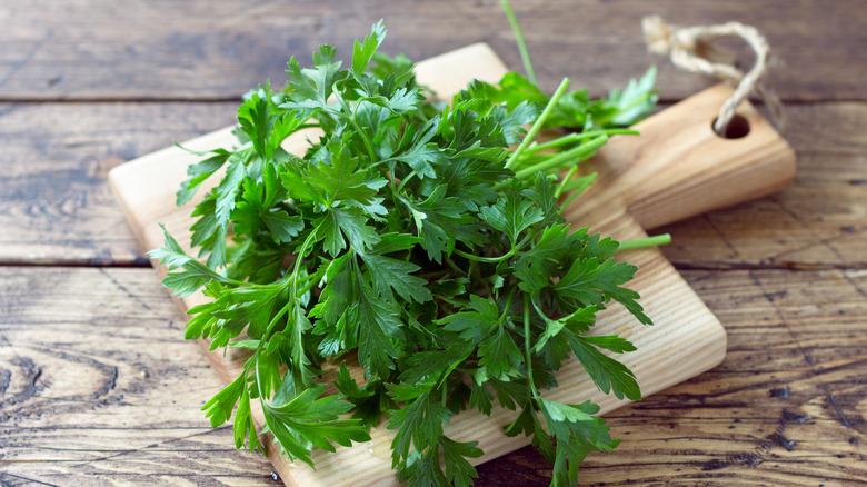 A bunch of fresh parsley on a wooden board