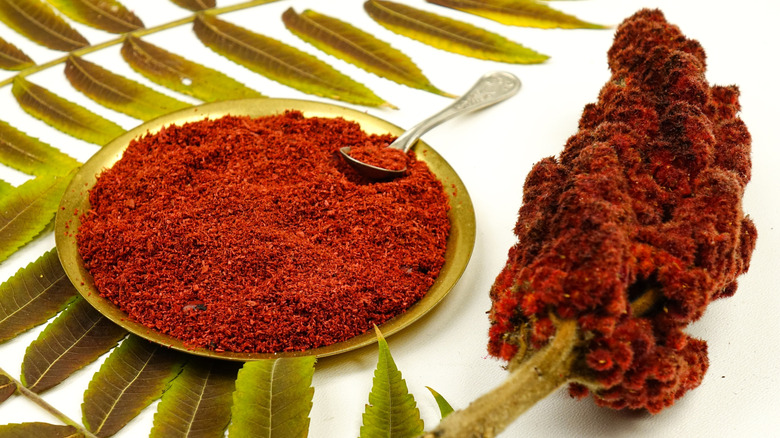 A sumac shrub and ground sumac in a dish