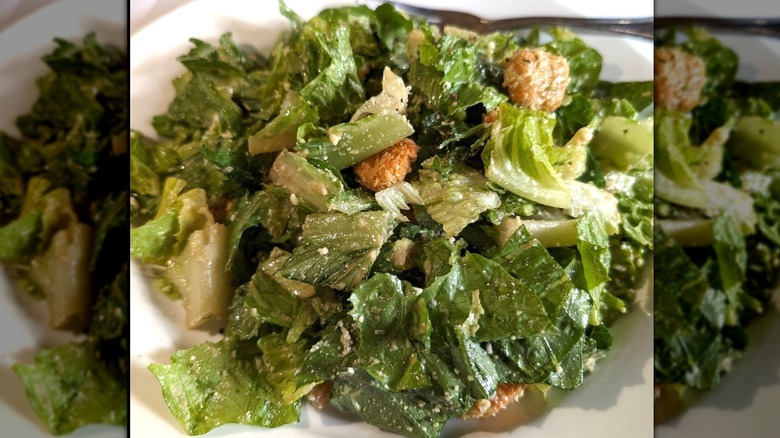 close up shot of Ceasar salad