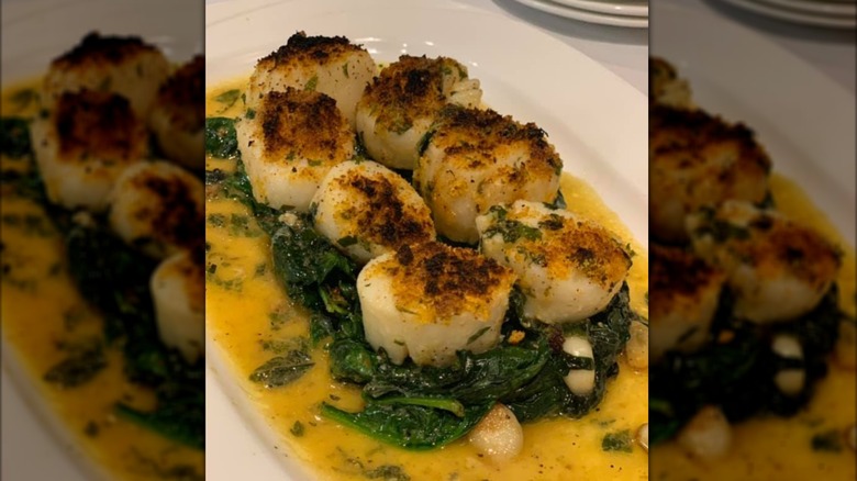 A close-up of scallops and spinach in sauce on a white plate
