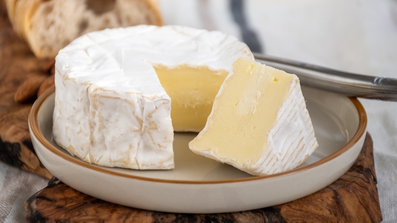 Camembert cheese with slice cut in dish
