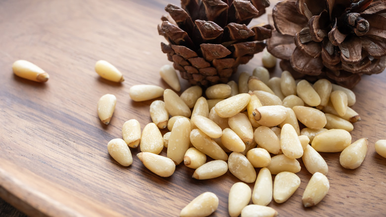 Pine nuts with pine cones in the background