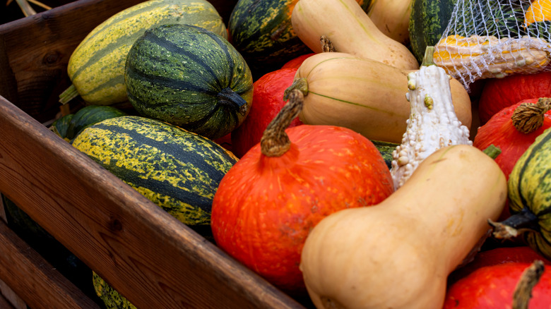 Various types of winter squash in a brown wooden box