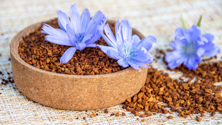 Ground chicory root in bowl