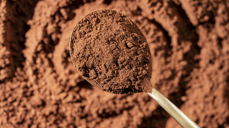 Natural cocoa powder in spoon
