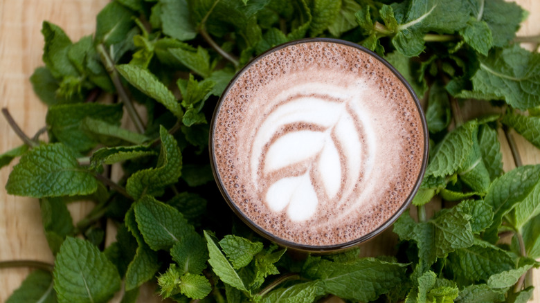 Mint leaves and cocoa in cup