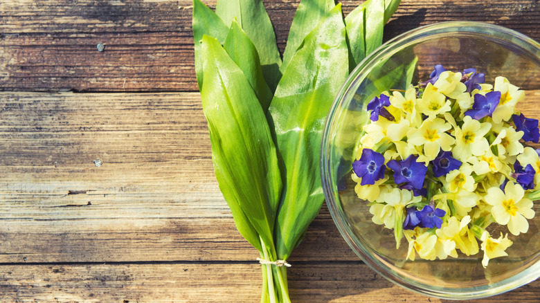 primrose in a glass bowl next to leaves