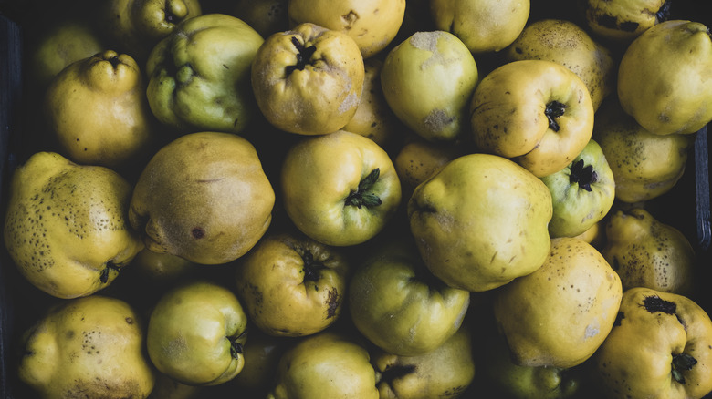 pile of quinces against dark background