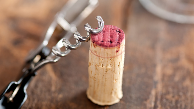 wine cork and bottle opener