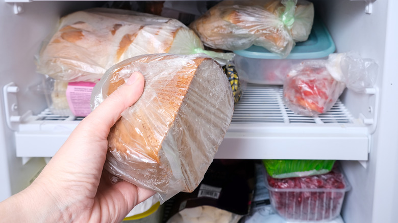 Person's hand putting food in freezer