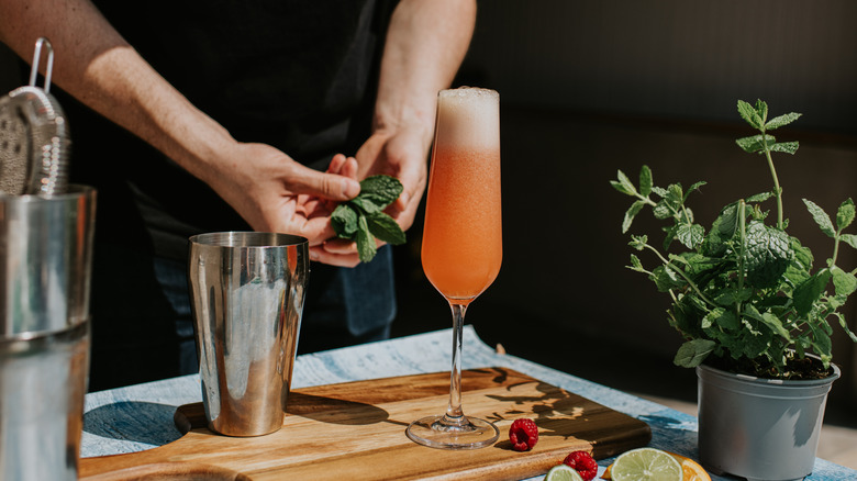Bartender making a cocktail and holding mint