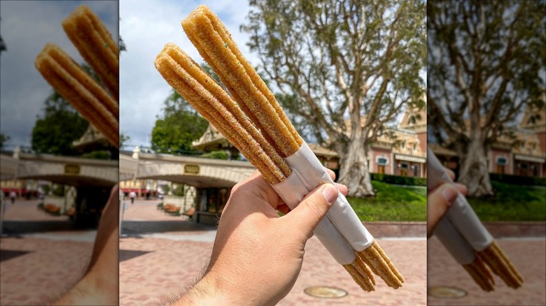 person holding disneyland churros