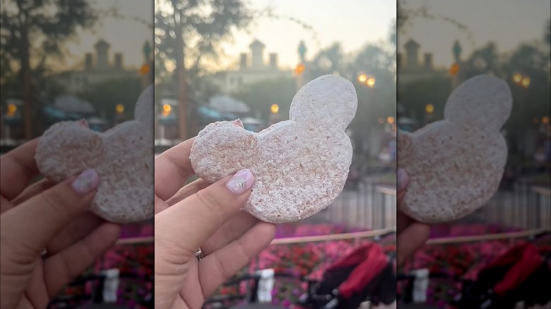 Powdered Mickey beignets with hand