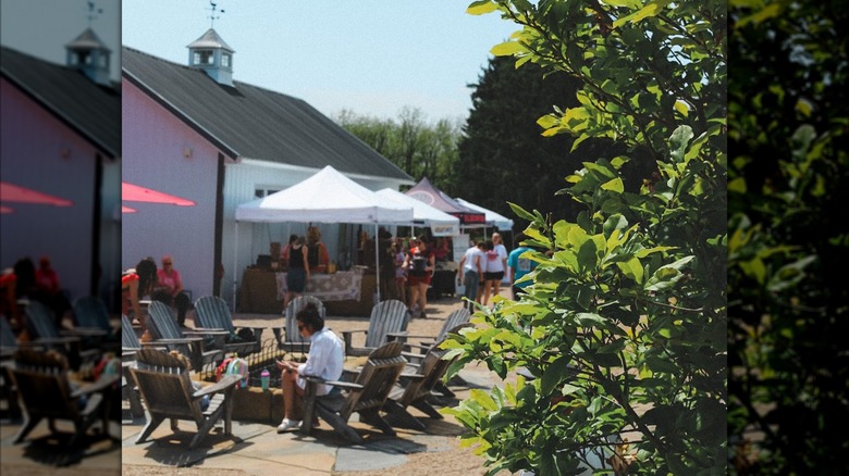 People sitting outside in deck chairs under umbrellas on a sunny day