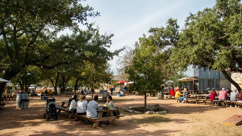 People at picnic tables outside under the trees on a sunny day
